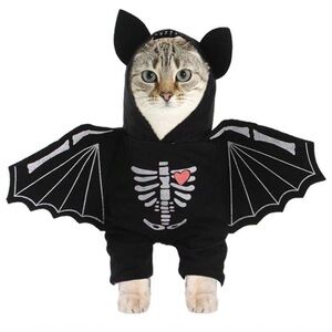 Skeleton Bat with wings Halloween pet costume